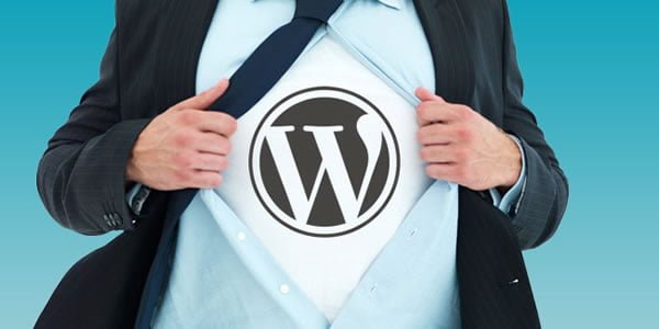 wordpress for business