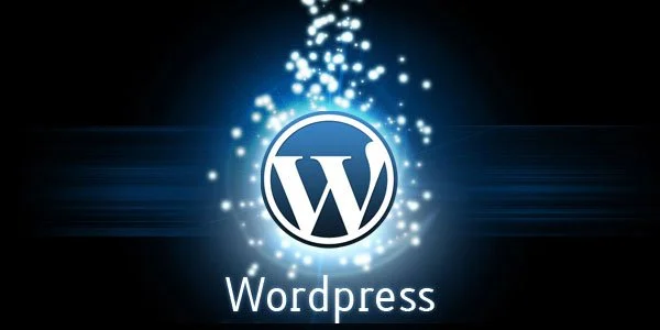 wordpress.org and wordpress.com