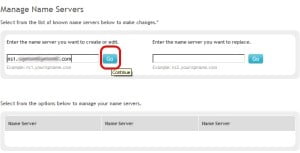 Enter New name servers