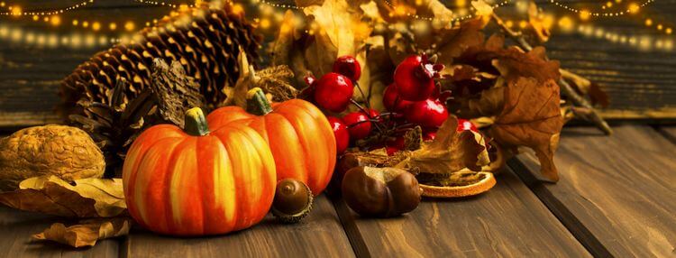autumn pumpkins