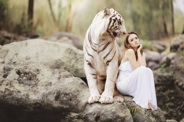 girl with white tiger