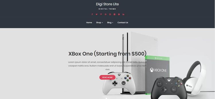 digistore free wordpress theme