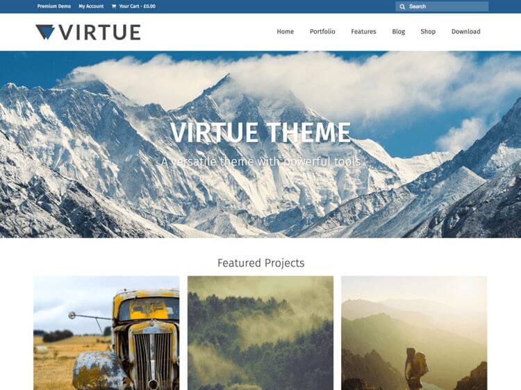 virtue free wordpress theme
