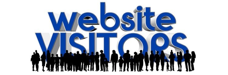 website visitors