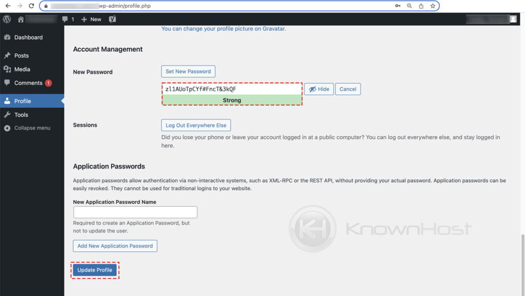 enter new password for wordpress user