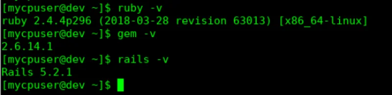 Rails version