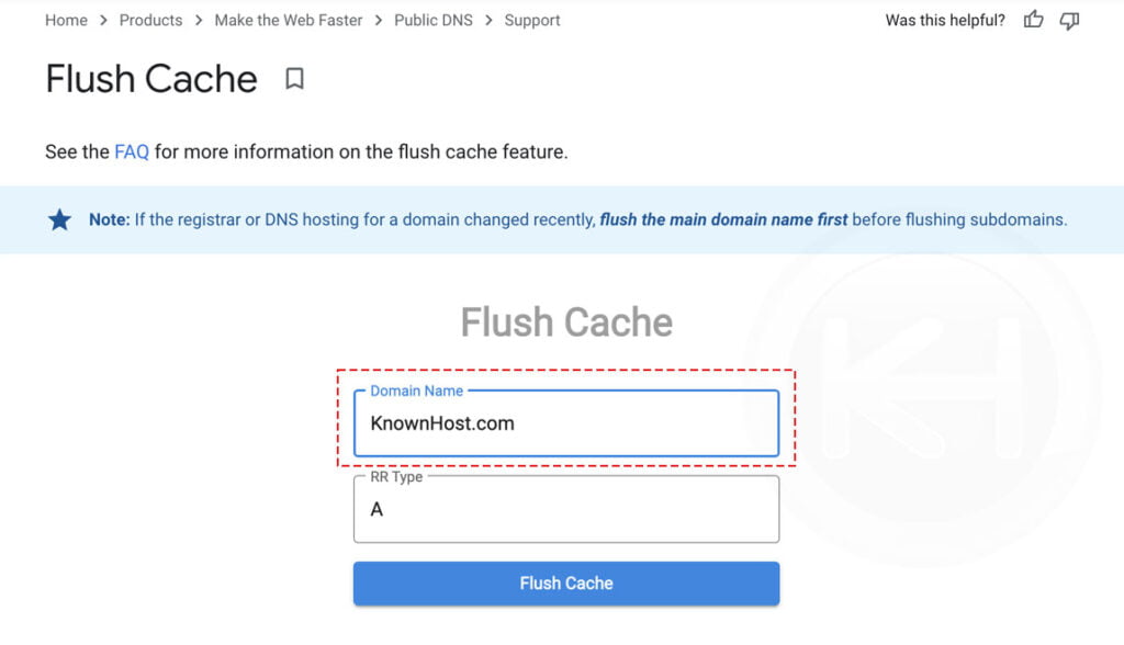 enter domain name google dns cache