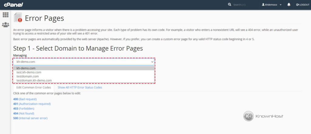 select-domain-name-for-custom-error-page