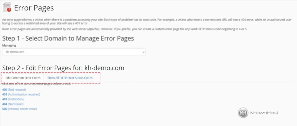 two-options-for-custom-error-page