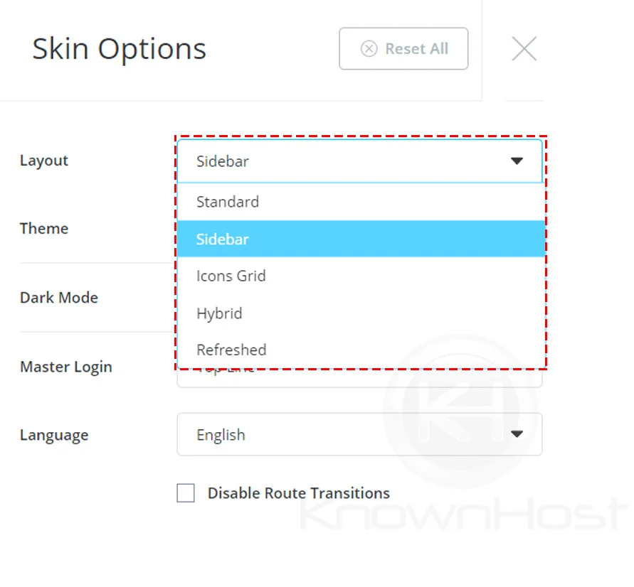 layout-skin-options-directadmin