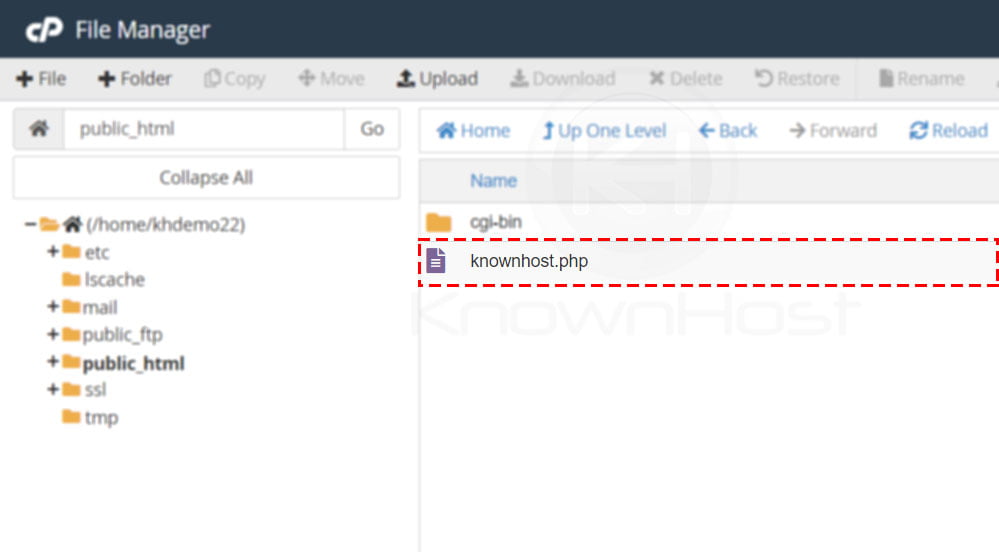how-the-skeleton-directory-feature-works