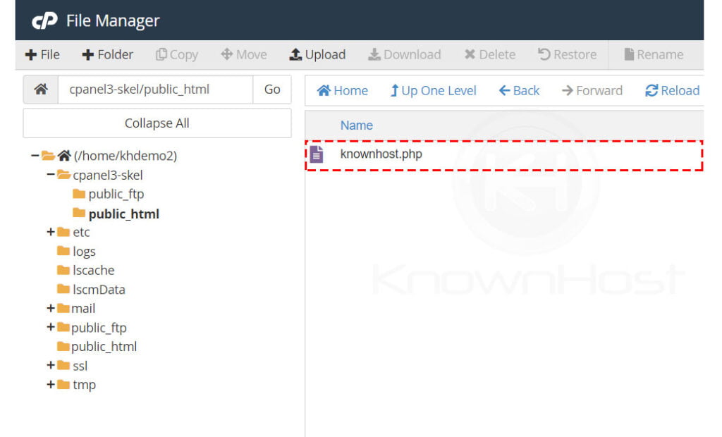 upload-knownhost-php-file-for-skeleton-directory