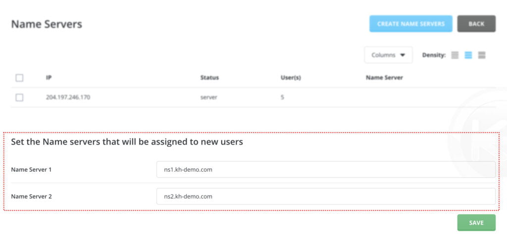 enter the nameservers directadmin