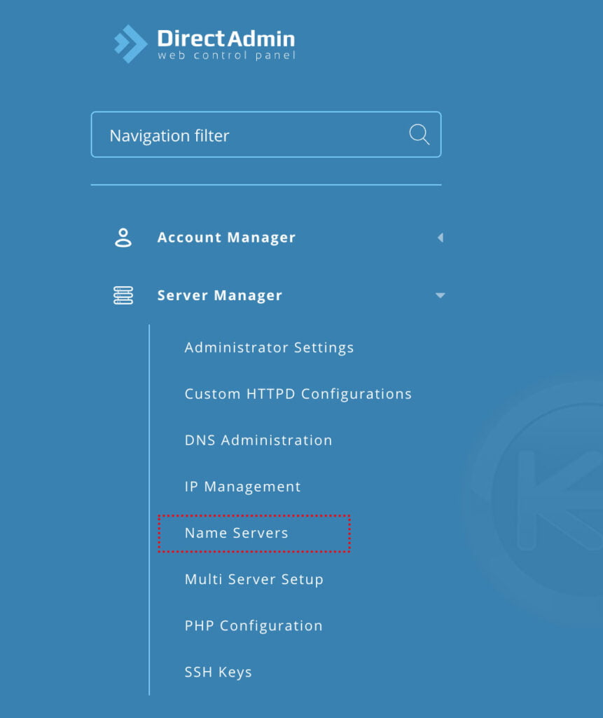 navigate to server manager nameservers directadmin