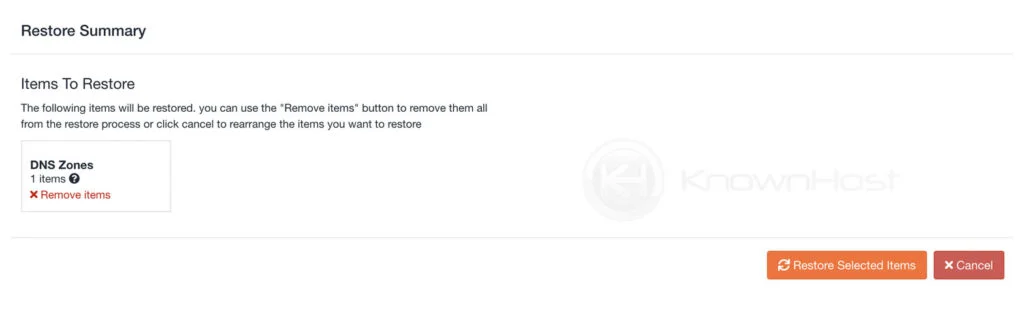 restore summary dns zone backup jet