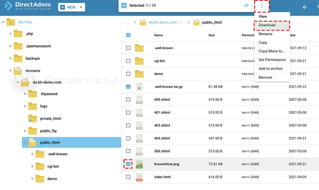 how to download files using file manager directadmin