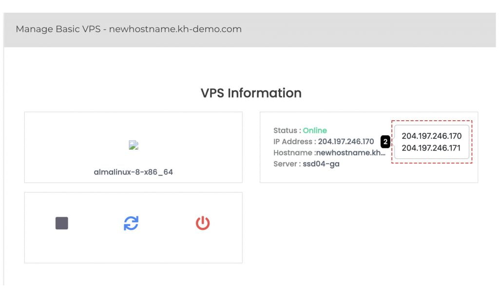 how to find number of ip addresses assigned to the vps